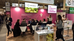 Estand de Mercabarna en Fruit Logistica 2024