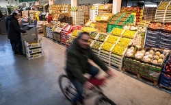 Mercado Central de Frutas y Hortalizas de Mercabarna