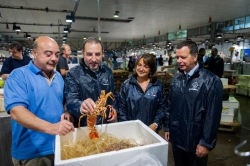 El conseller, la presidenta de Mercabarna, el director general de Mercabarna i el president del GMP, en el Mercat Central del Peix