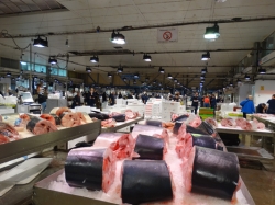 Més de 960 punts de llum il·luminen la zona d'exposició i venda de producte del Mercat Central del Peix